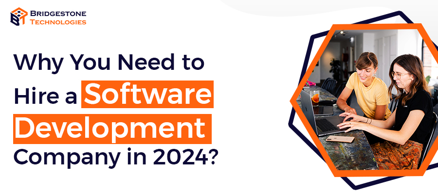 Read more about the article Why You Need to Hire a Software Development Company in 2024?